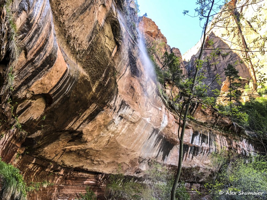 Zion Zion