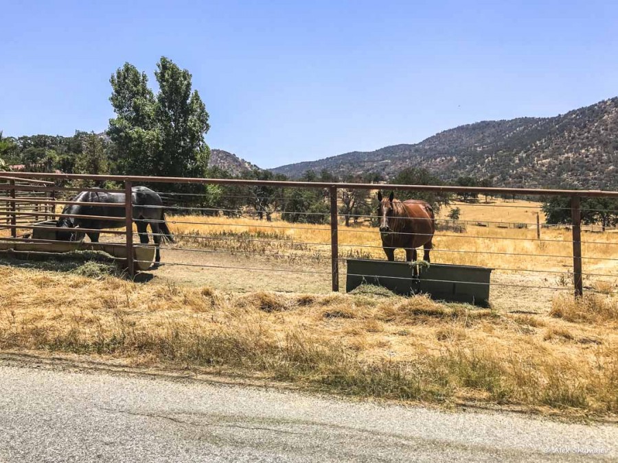 Three Rivers, Sequoia - второй опыт аренды дома в AirBnb Three Rivers, Sequoia - второй опыт аренды дома в AirBnb