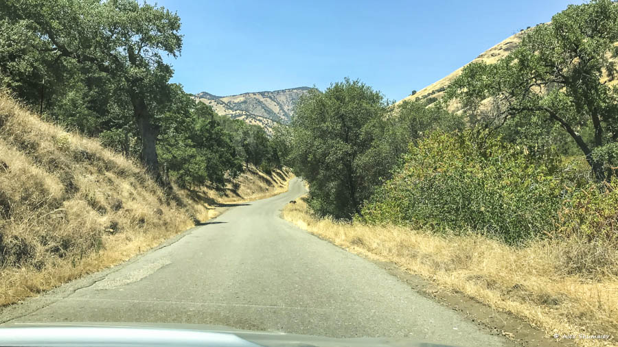 1-sequoia-general-grant-odna-iz-zhemchuzhin-na-territorii-parka-kings-canyon.jpg 1-sequoia-general-grant-odna-iz-zhemchuzhin-na-territorii-parka-kings-canyon.jpg