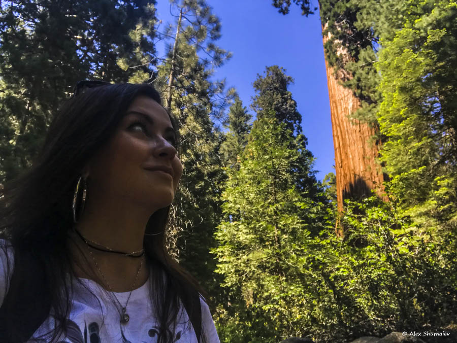 12-sequoia-general-grant-odna-iz-zhemchuzhin-na-territorii-parka-kings-canyon.jpg 12-sequoia-general-grant-odna-iz-zhemchuzhin-na-territorii-parka-kings-canyon.jpg