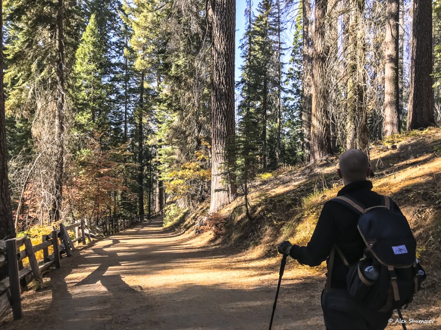 14-maloposeshchayemaya-roshcha-sekvoy-v-yosemiti-roshcha-tuolumne.jpg