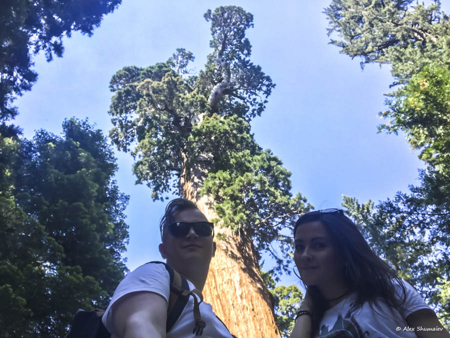 15-sequoia-general-grant-odna-iz-zhemchuzhin-na-territorii-parka-kings-canyon.jpg 15-sequoia-general-grant-odna-iz-zhemchuzhin-na-territorii-parka-kings-canyon.jpg