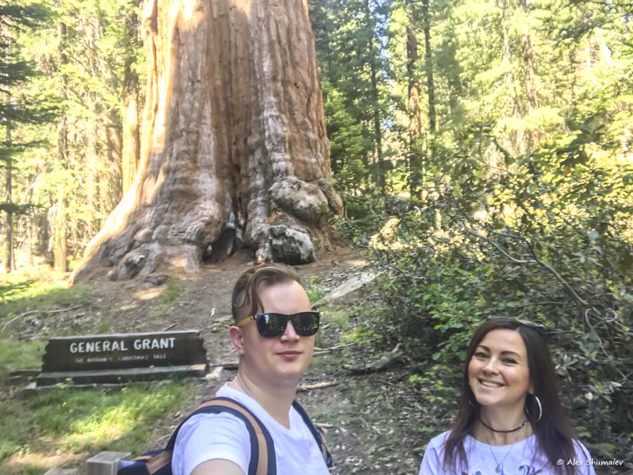 16-sequoia-general-grant-odna-iz-zhemchuzhin-na-territorii-parka-kings-canyon.jpg 16-sequoia-general-grant-odna-iz-zhemchuzhin-na-territorii-parka-kings-canyon.jpg