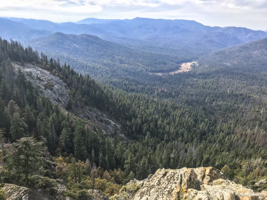 30-puteshestviye-v-stranu-velikanov-500-sekvoy-roshchi-mariposa-v-yosemiti.jpg